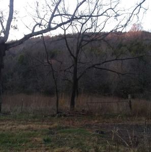 Meet your Posher, Bob